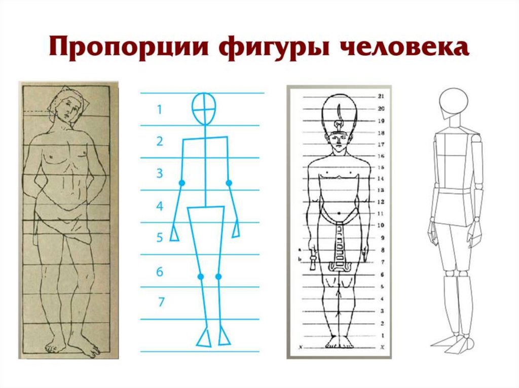 Изо 6 класс пропорции человека. Пропорции фигуры человека. Пропорции фигуры чловек. Схема построения фигуры человека пропорции. Пропорции фигуры человека для детей.