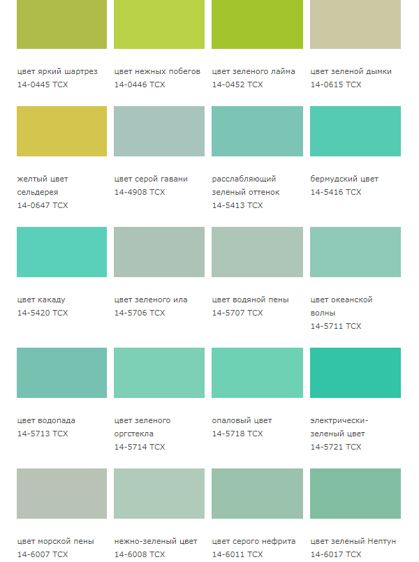 Оттенки зеленого и их названия. Оттенки зеленого пантон. Палитра зеленого цвета с названиями оттенков. Серо-зеленый цвет название. Назвсния оттенков зелёного.