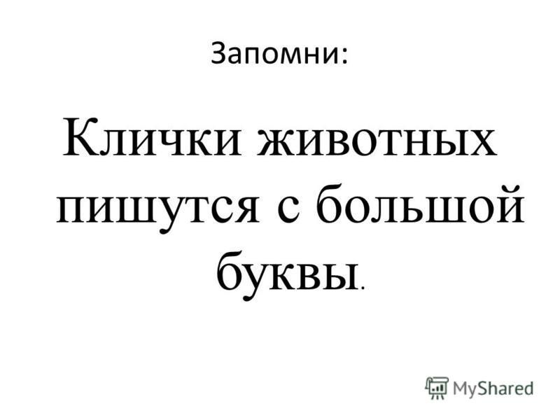 Заявление как пишется с маленькой или большой буквы образец