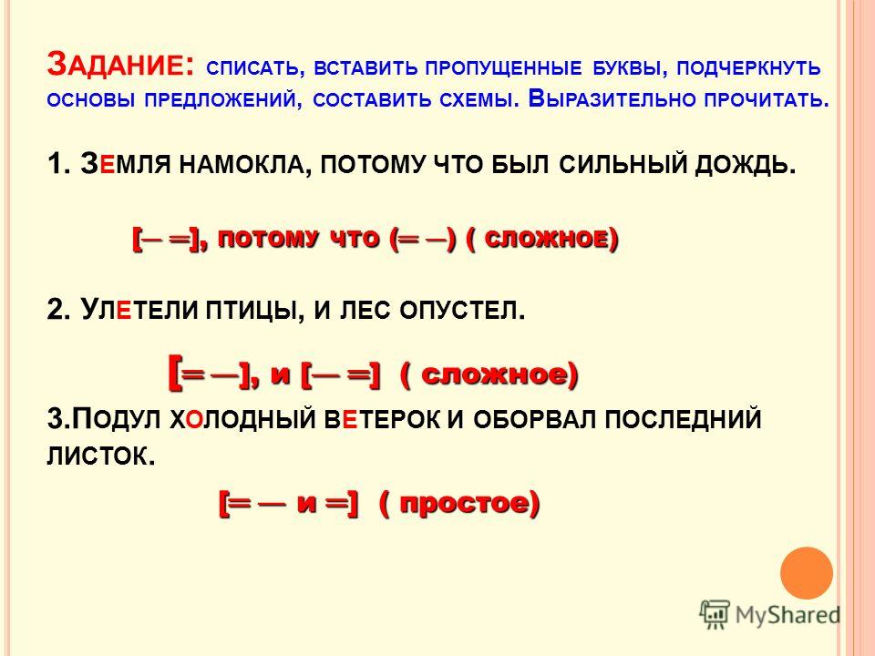 3 предложения со сложными словами