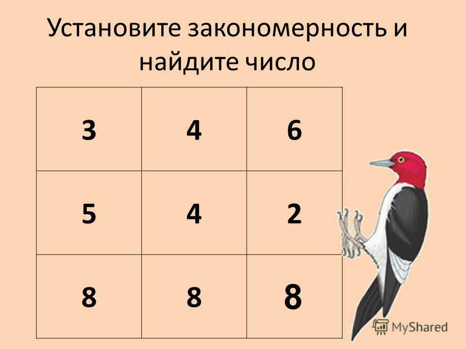 Ряд всех чисел 9 букв. Числовые закономерности. Установите закономерность. Задания на закономерность. Найдите закономерность и вставьте число.