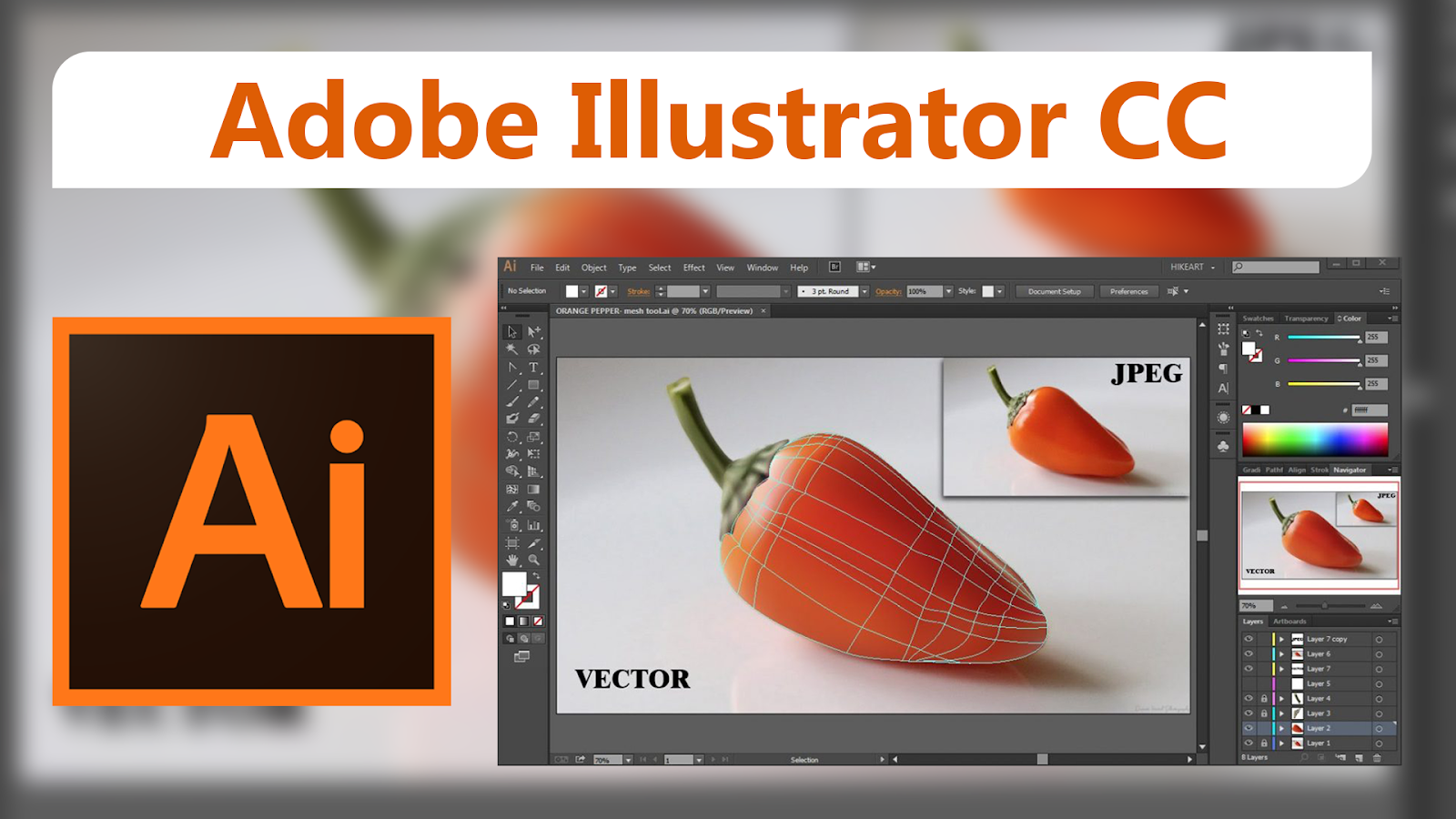 Adobe Illustrator И Adobe Photoshop