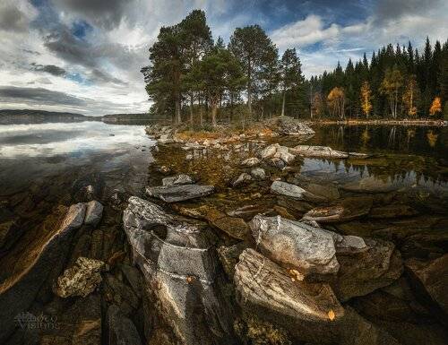 By the shore