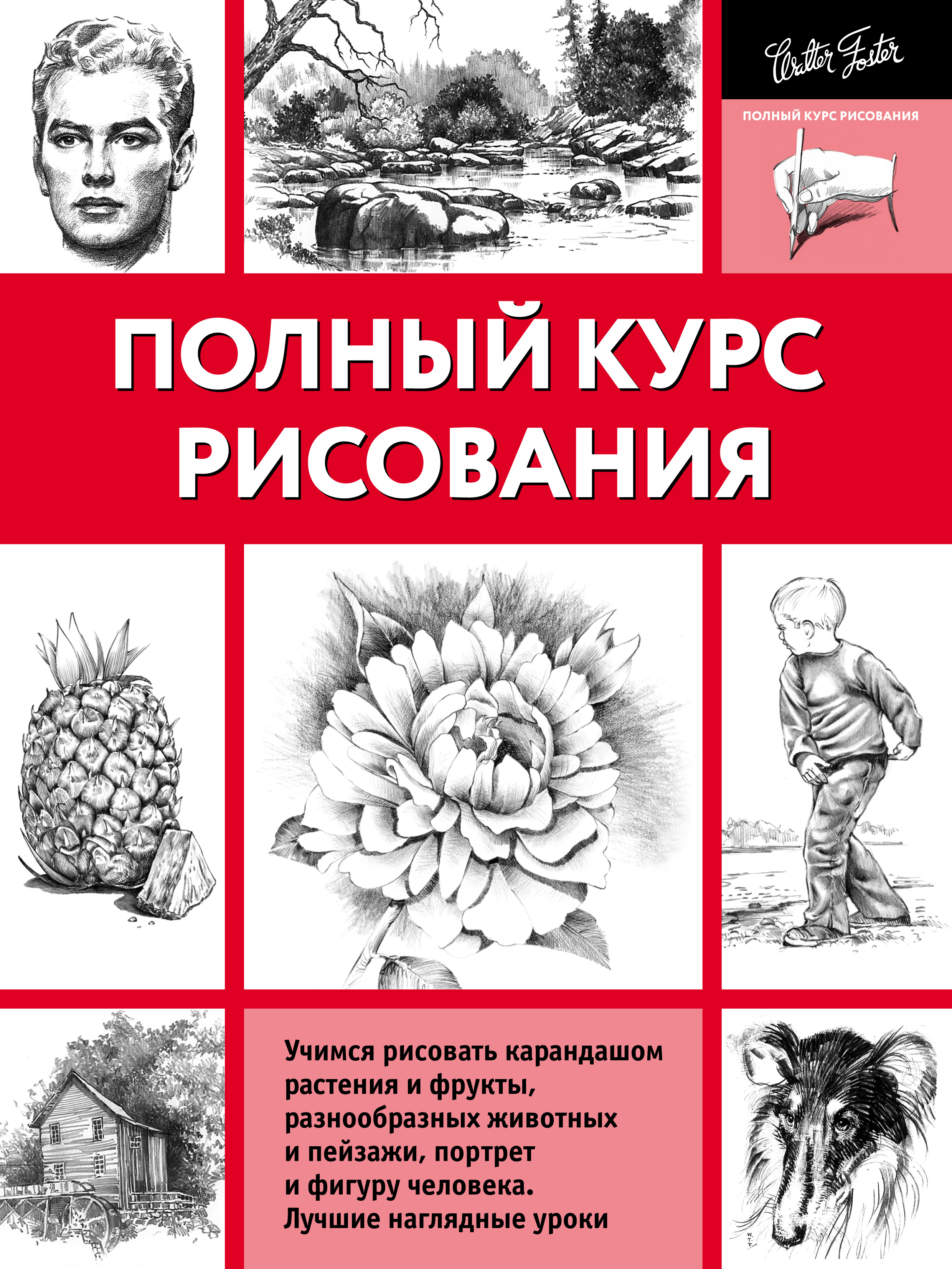 Курсы рисунка спб