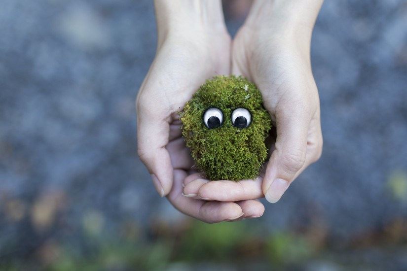 grass-hands-moss-4627-825x550