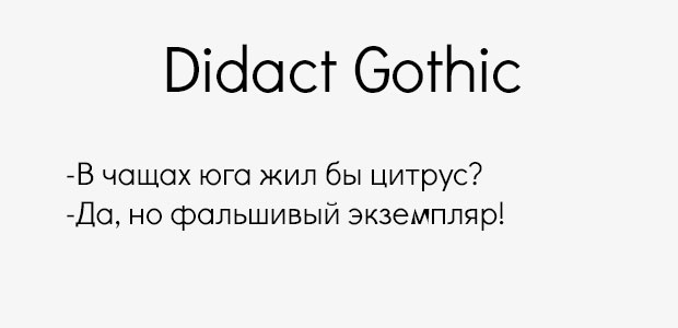 Didact Gothic