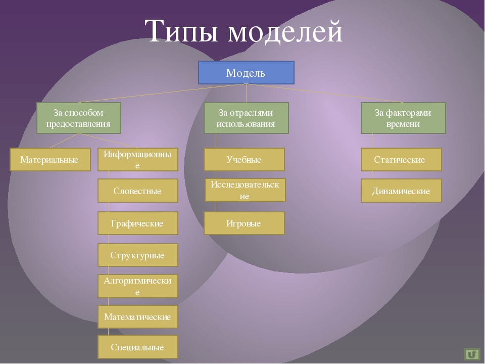 Какие есть виды модели