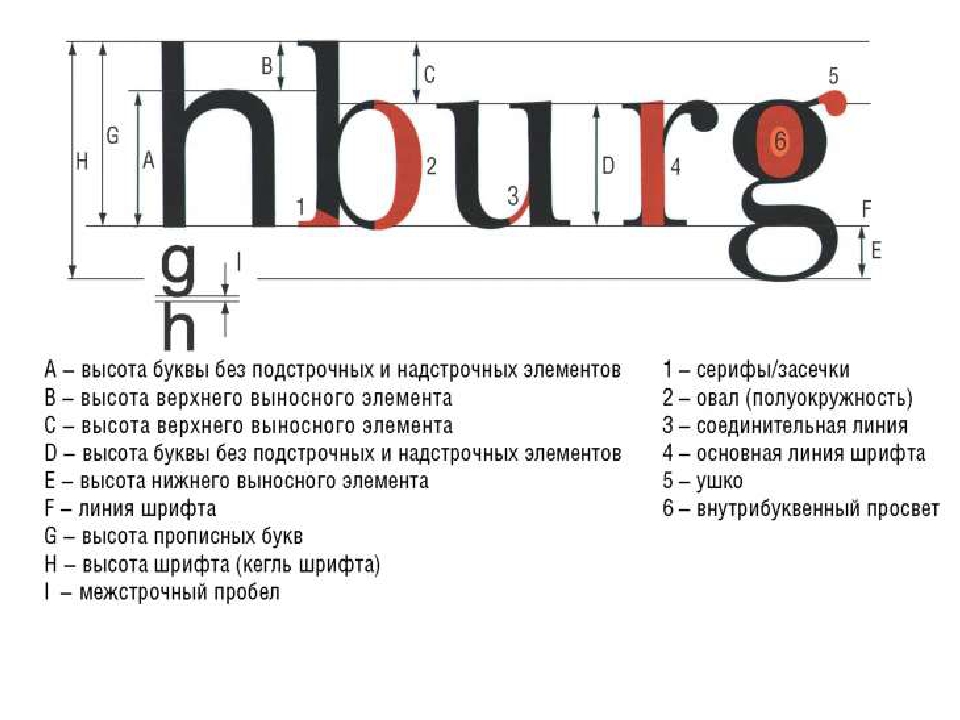 Размер типографской буквы. Основные элементы шрифта. Элементы шрифта названия. Части буквы в шрифте. Элементы букв в шрифтах.