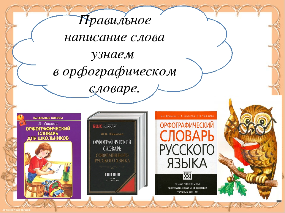 Слово обоснованный. Правильное написание слов. Как правильно пишется ствово. Словарь по правильному написанию слов. Правильно писать слова.