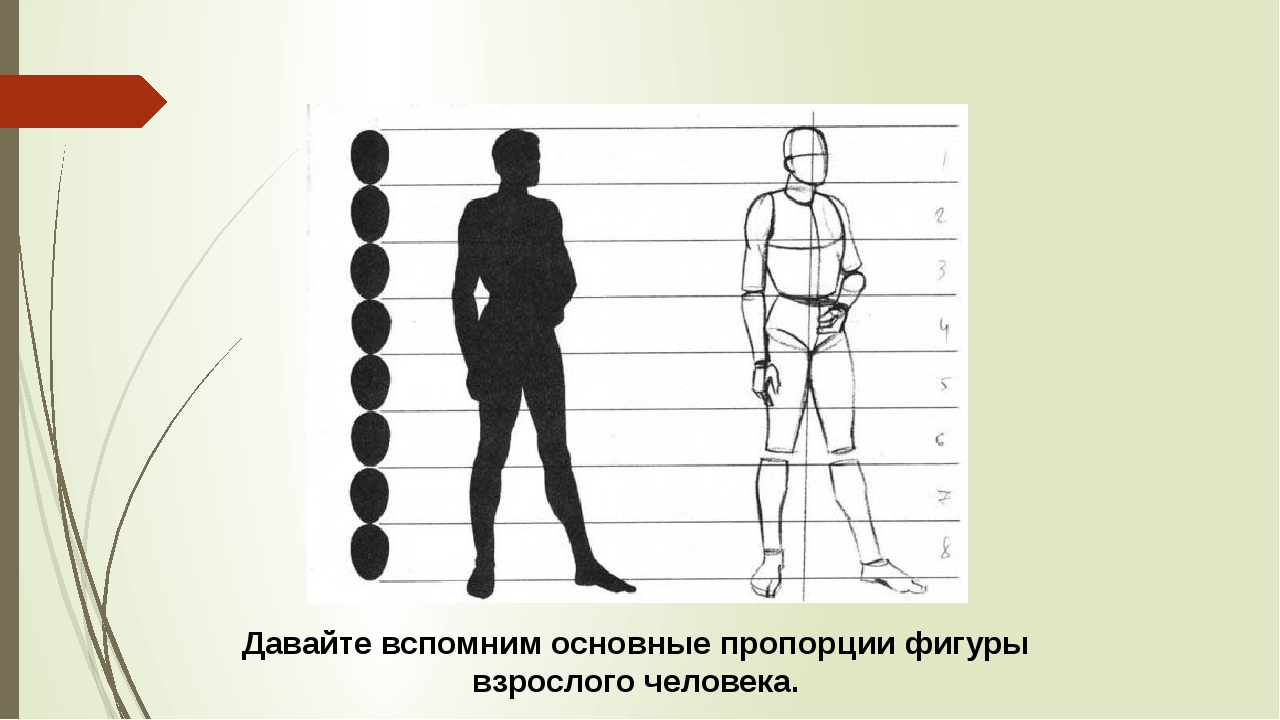 Презентация рисования человека. Наброски фигуры человека. Фигура человека рисунок. Пропорции человеческой фигуры. Наброски фигуры человека пропорции.
