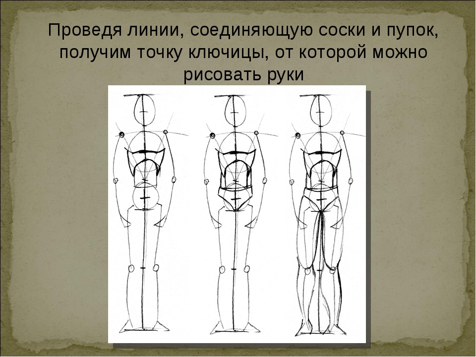 При современном изображении фигуры человека что берется за модуль