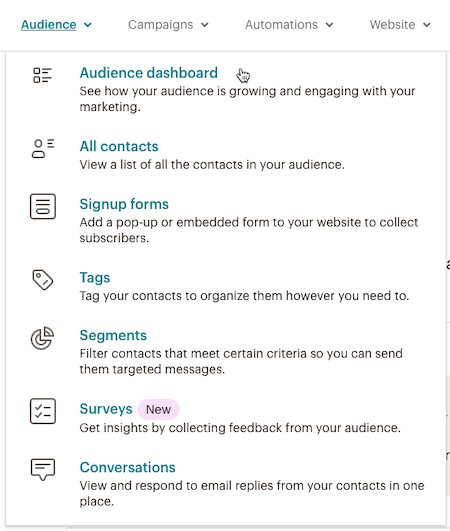 Cursor Clicks - Audience dashboard - Audience Dropdown