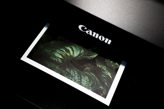 Canon printer printing image of leaves