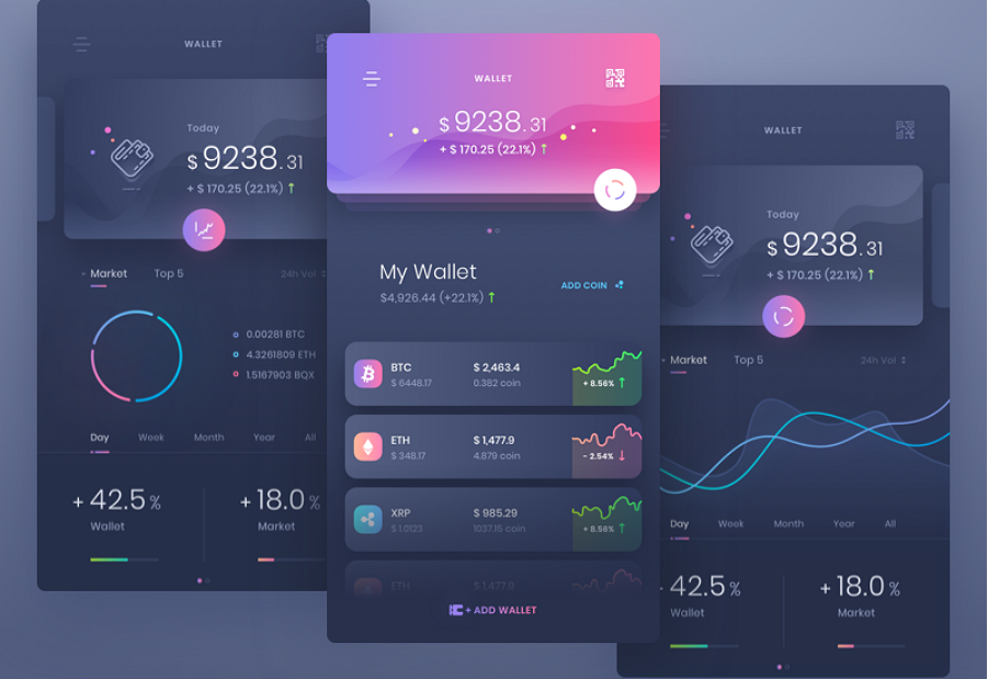 Mobile App Interface Design Wallet
