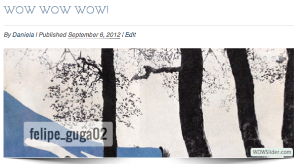 WOW Slider — бесплатный плагин для слайдера изображений