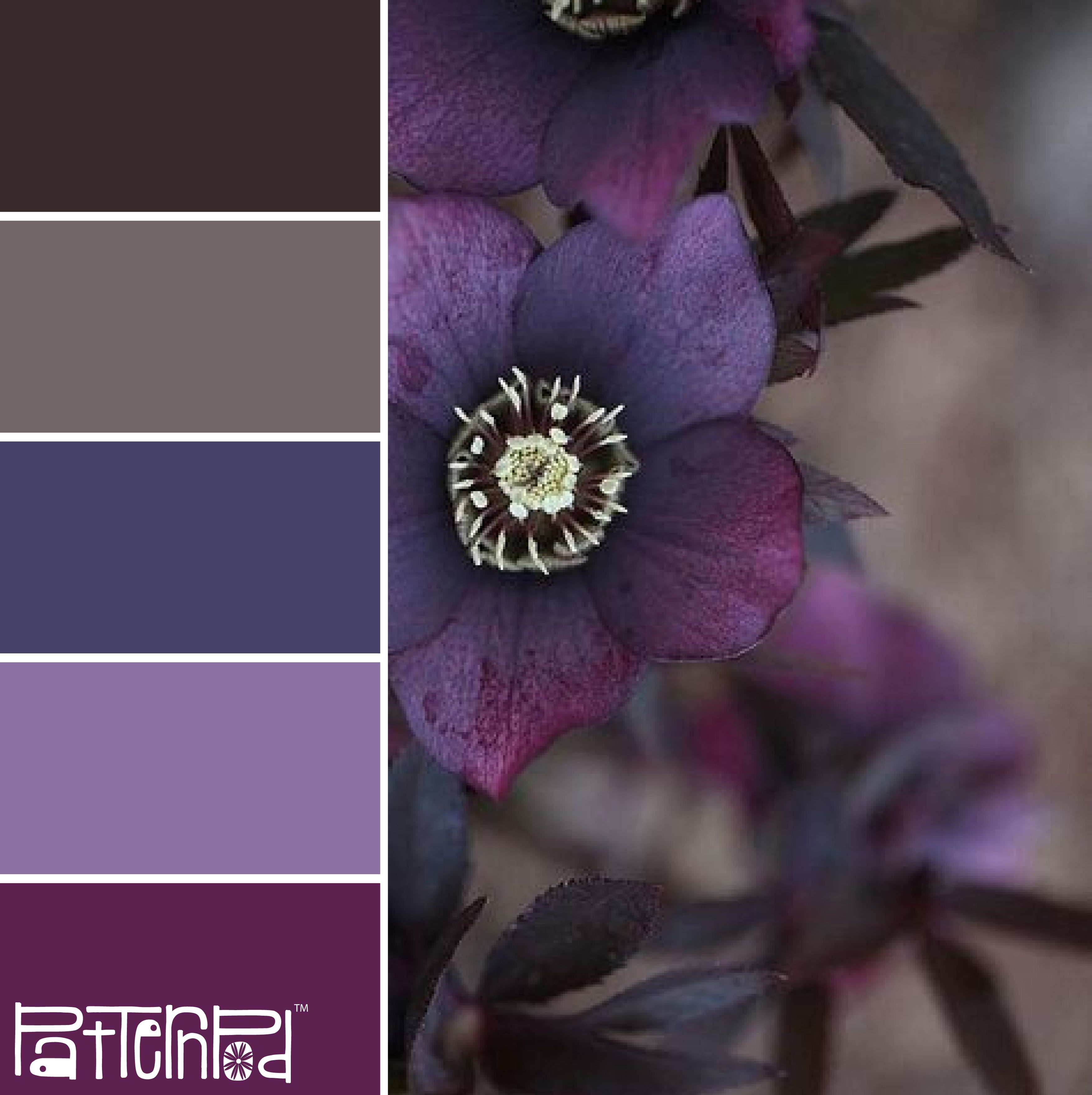 Сочетание серого фиолетового и коричневого в интерьере
