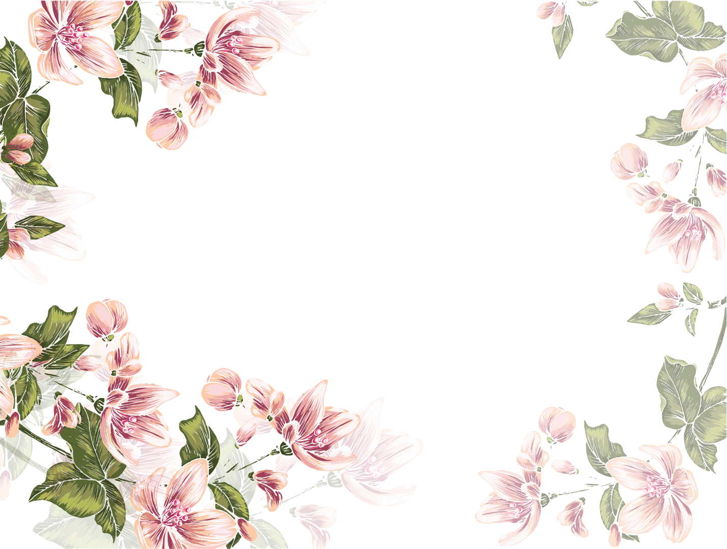 Рамка летние цветы на прозрачном фоне