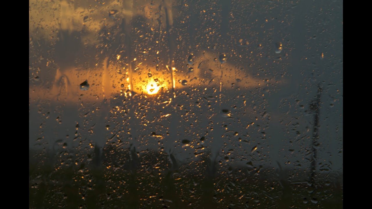 Радуга дождь солнце фото