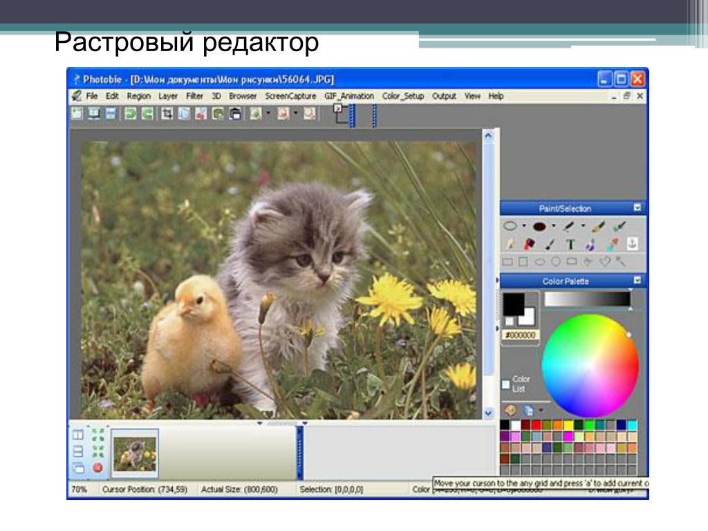 Известный графический редактор. Графический редактор. Редакторы растровой графики. Графические редакторы картинки. Редактирование изображений в растровом графическом редакторе.