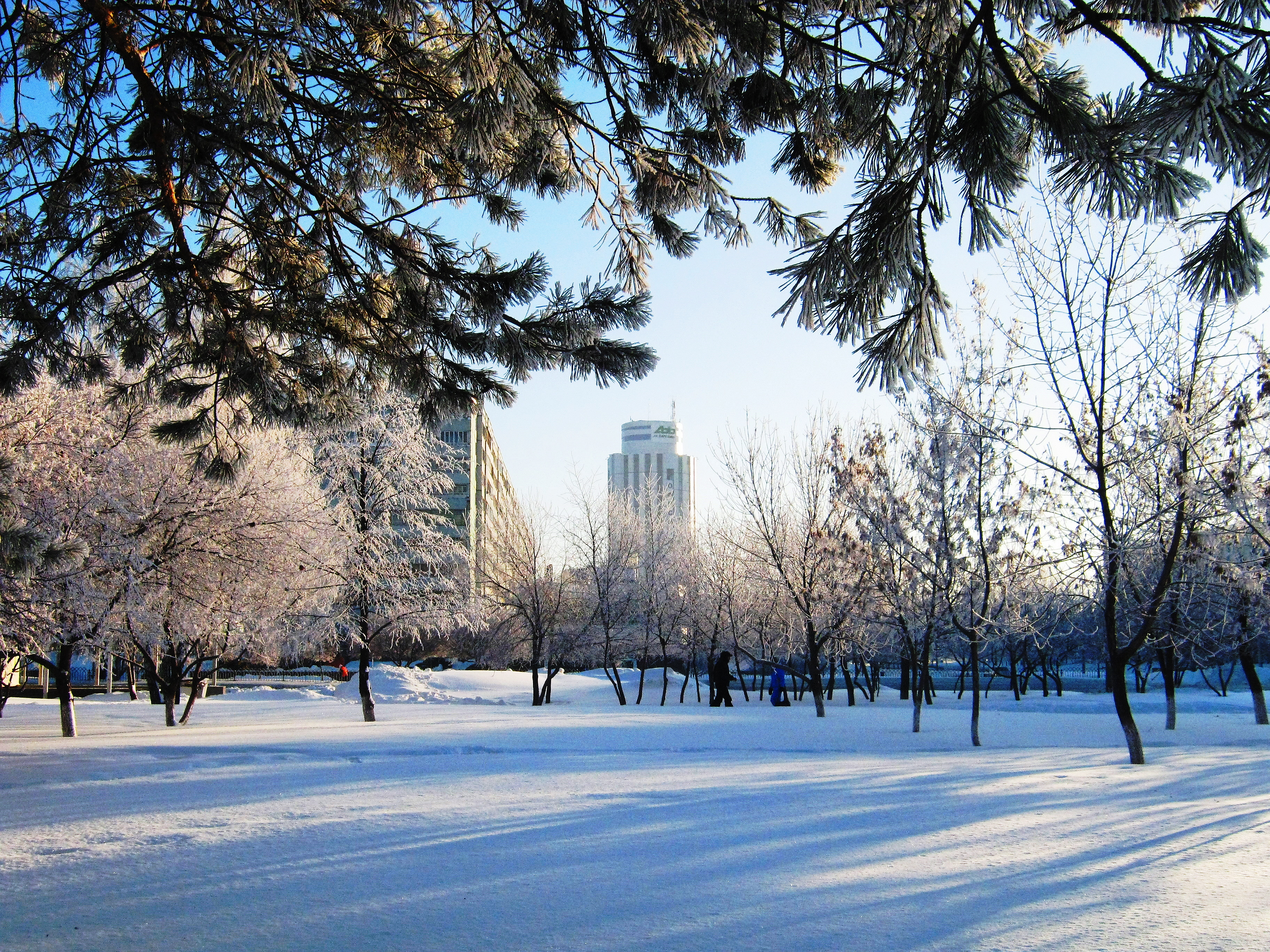 Москва теплая зима. Зима в городе. Город зимой. Зимний день в городе. Зимний пейзаж в городе.