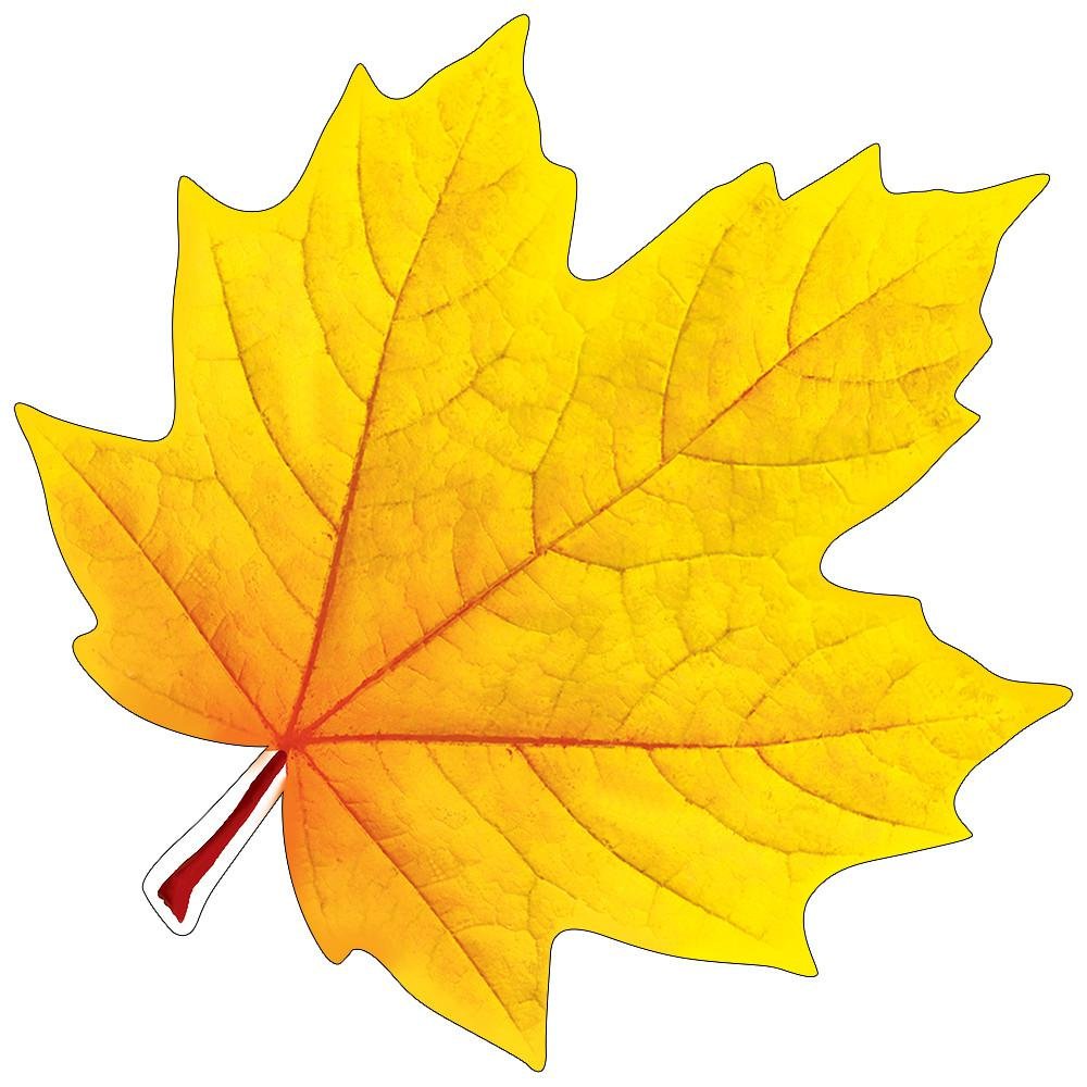 Легкий желтый лист. Кленовые листочки. Листики осенние. Осенний листок. Украшение "лист".