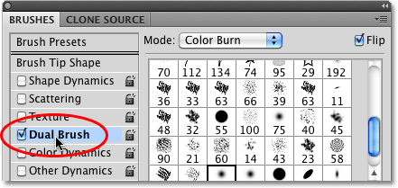 The Dual Brush option in the Brushes panel in Photoshop. 