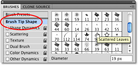 Selecting the Scattered Leaves brush tip in Photoshop. 