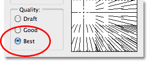 The Quality option in the Radial Blur dialog box.