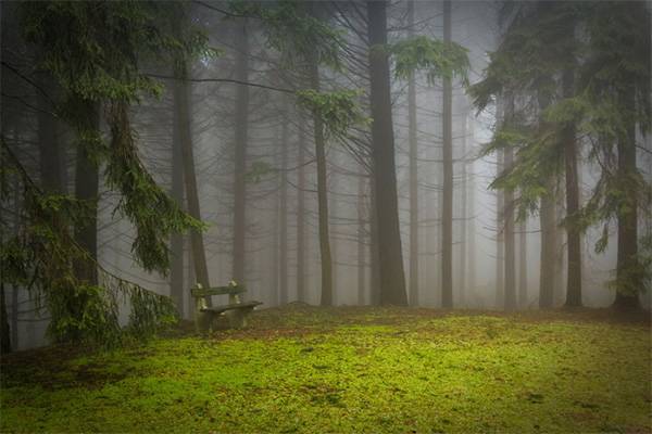 Добавляем лучи света на Фотографию в фотошопе шаг 1 копия