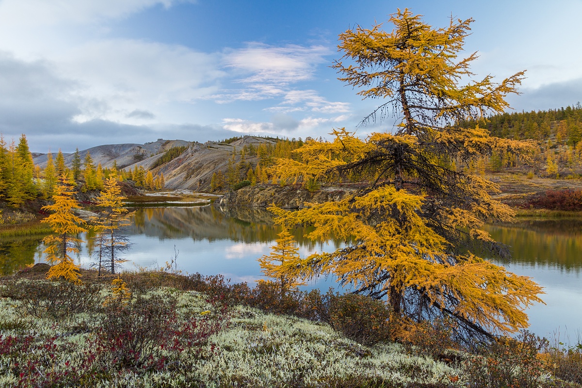 Фото: Кирилл Уютнов 