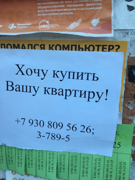 Сниму квартиру в вашем доме word