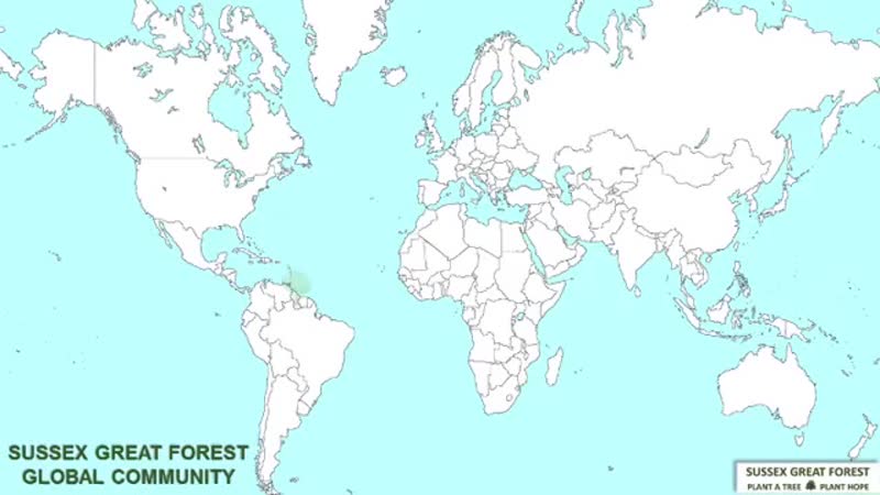 Карта мира онлайн с границами стран