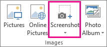 Large Screenshot button