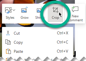 Right-click a picture, the select Crop on the toolbar that appears over the picture.