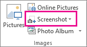 Small Screenshot button