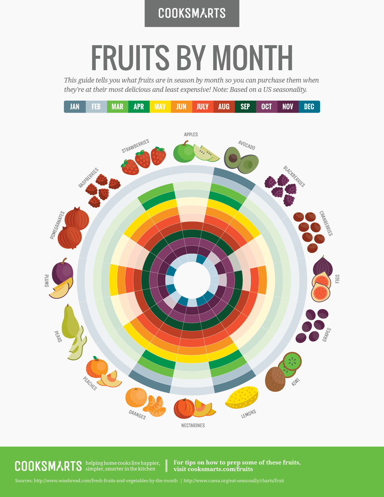 what is an infographic