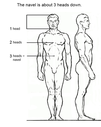 Proportions in figure drawing